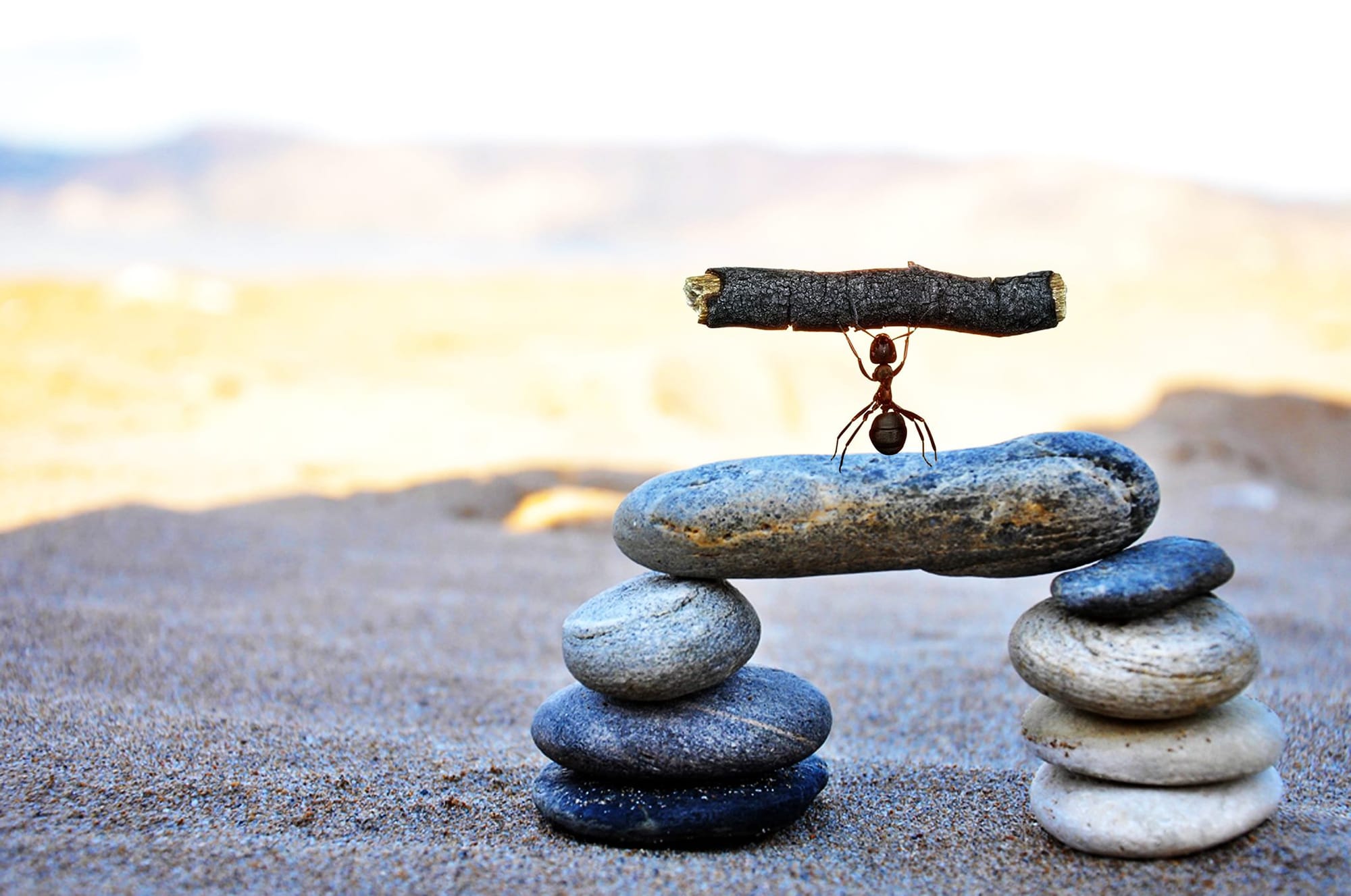 "Disciplined trading begins with patience, moves with precision, and thrives on strategy." (Wait. Confirm. Plan. Exit. Repeat.)